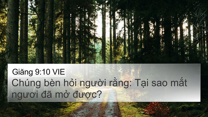 Giăng 9:10 VIE 4K Wallpaper - Chúng bèn hỏi người rằng: Tại sao - 4K Wallpaper Bible Verse