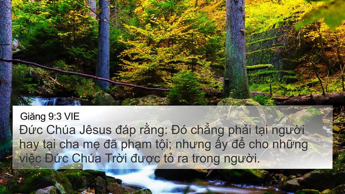Giăng 9:3 VIE Bible Verse Image