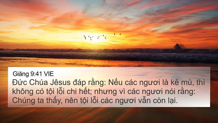 Giăng 9:41 VIE Bible Verse Image