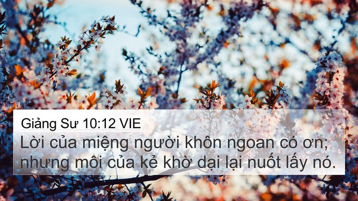 Giảng Sư 10:12 VIE Bible Verse Image