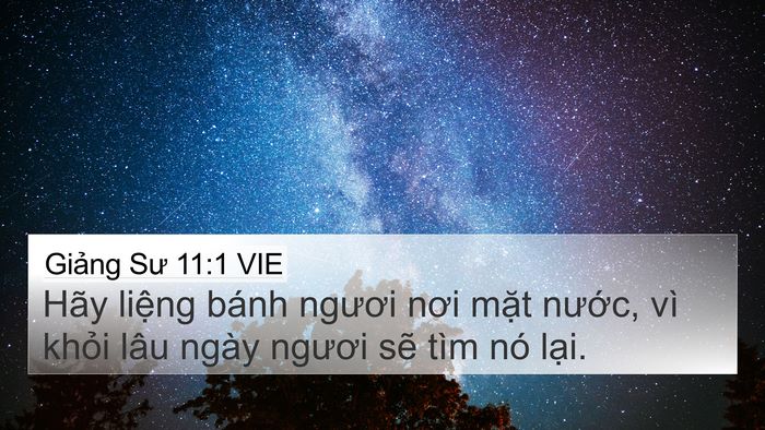 Giảng Sư 11:1 VIE Bible Verse Image