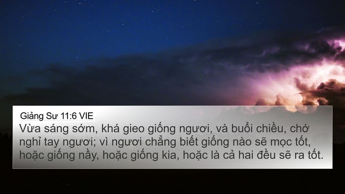 Giảng Sư 11:6 VIE Bible Verse Image