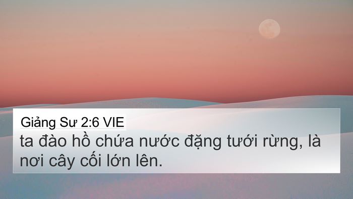 Giảng Sư 2:6 VIE 4K Wallpaper - ta đào hồ chứa nước đặng tưới - 4K Wallpaper Bible Verse