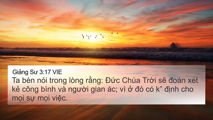 Giảng Sư 3:17 VIE Bible Verse Image
