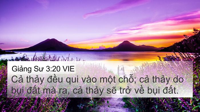 Giảng Sư 3:20 VIE Bible Verse Image
