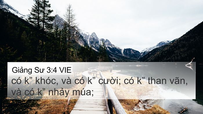 Giảng Sư 3:4 VIE Bible Verse Image
