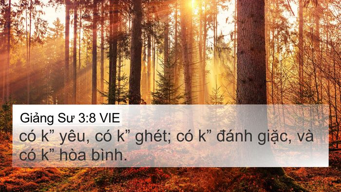 Giảng Sư 3:8 VIE Bible Verse Image