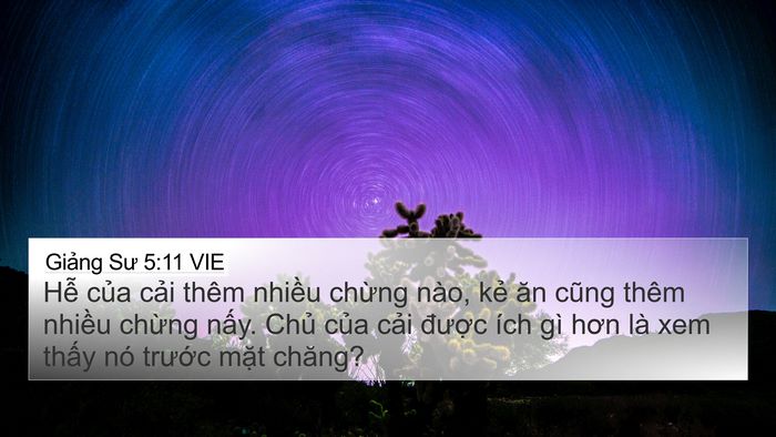 Giảng Sư 5:11 VIE Bible Verse Image