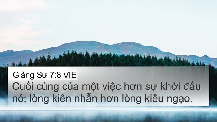Giảng Sư 7:8 VIE Bible Verse Image