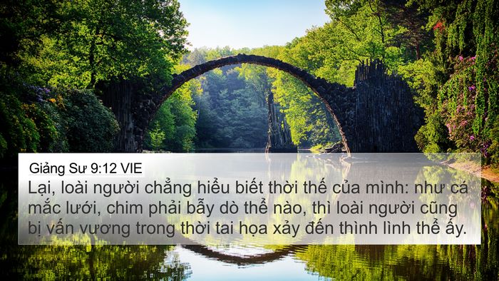 Giảng Sư 9:12 VIE Bible Verse Image