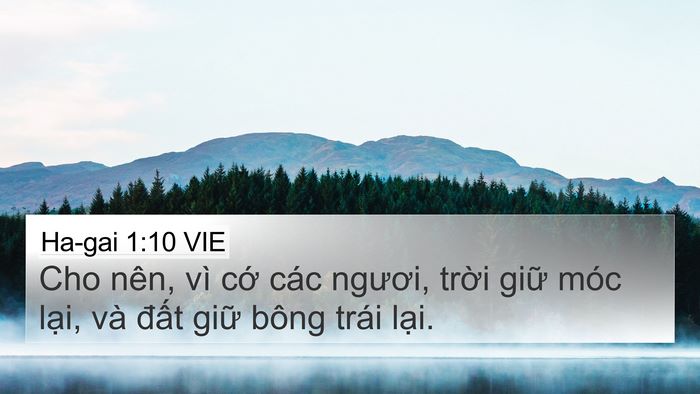 Ha-gai 1:10 VIE 4K Wallpaper - Cho nên, vì cớ các ngươi, trời giữ - 4K Wallpaper Bible Verse
