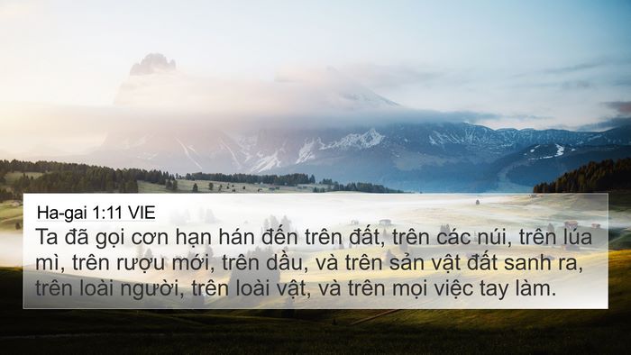 Ha-gai 1:11 VIE Bible Verse Image
