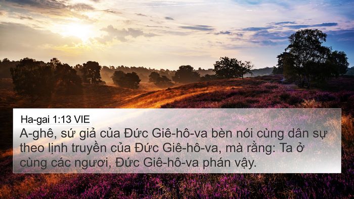 Ha-gai 1:13 VIE Bible Verse Image