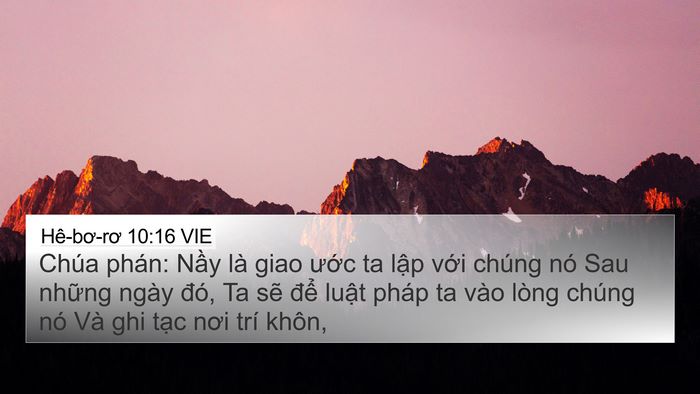 Hê-bơ-rơ 10:16 VIE Bible Verse Image