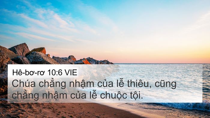 Hê-bơ-rơ 10:6 VIE Bible Verse Image