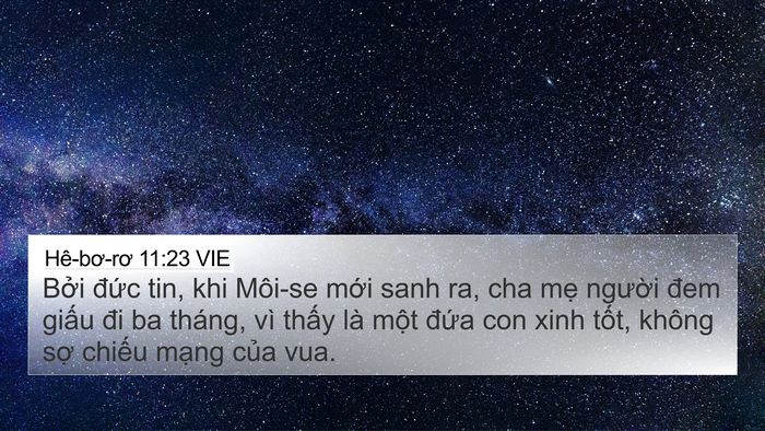 Hê-bơ-rơ 11:23 VIE Bible Verse Image