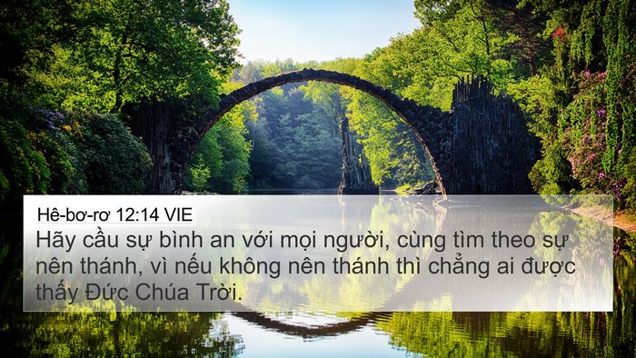 Hê-bơ-rơ 12:14 VIE Bible Verse Image