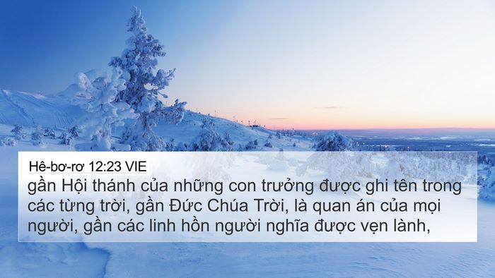 Hê-bơ-rơ 12:23 VIE Bible Verse Image