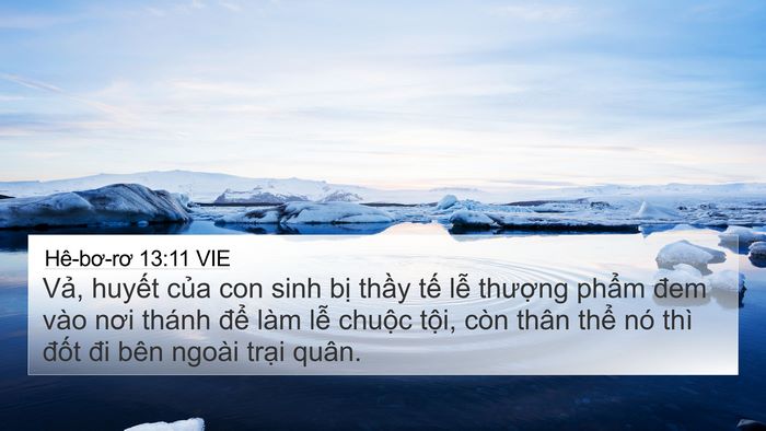 Hê-bơ-rơ 13:11 VIE Bible Verse Image