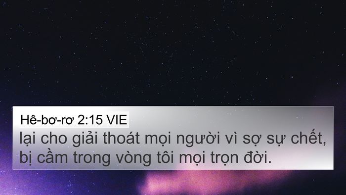 Hê-bơ-rơ 2:15 VIE Bible Verse Image