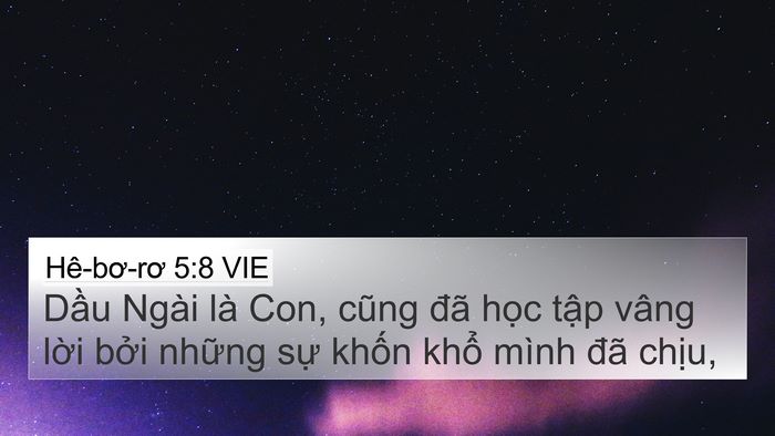 Hê-bơ-rơ 5:8 VIE Bible Verse Image