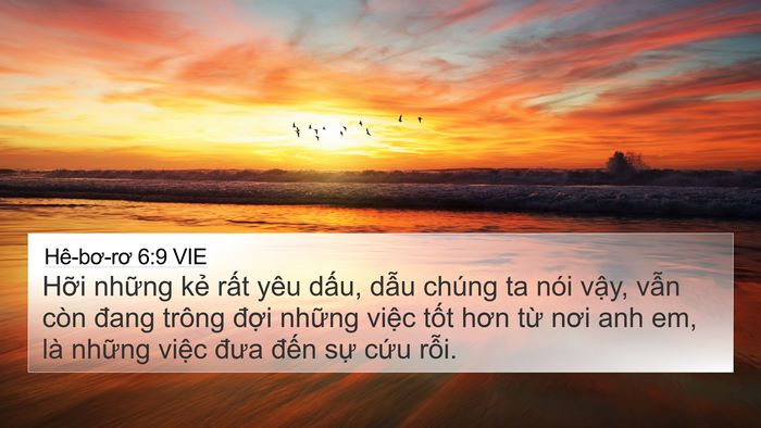 Hê-bơ-rơ 6:9 VIE Bible Verse Image