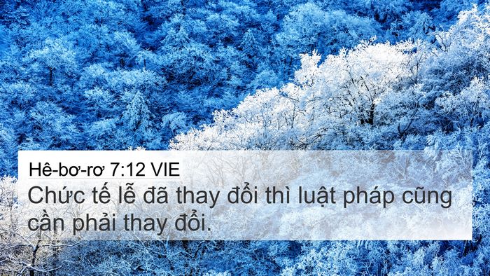 Hê-bơ-rơ 7:12 VIE 4K Wallpaper - Chức tế lễ đã thay đổi thì luật - 4K Wallpaper Bible Verse
