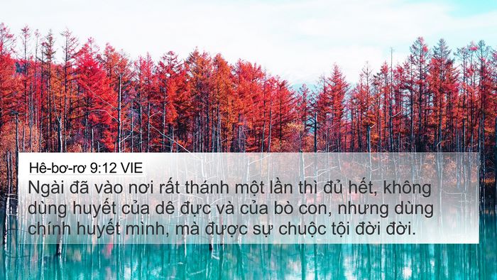 Hê-bơ-rơ 9:12 VIE Bible Verse Image
