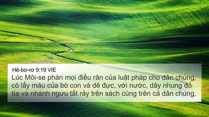 Hê-bơ-rơ 9:19 VIE Bible Verse Image