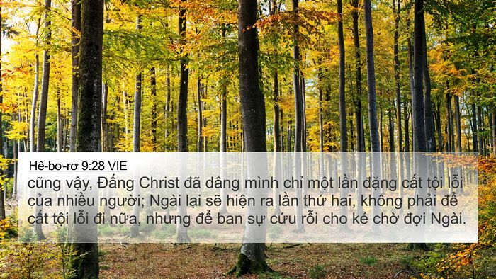 Hê-bơ-rơ 9:28 VIE Bible Verse Image