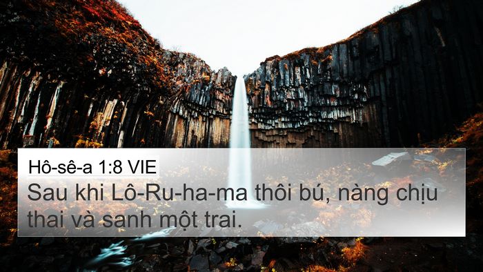 Hô-sê-a 1:8 VIE Bible Verse Image