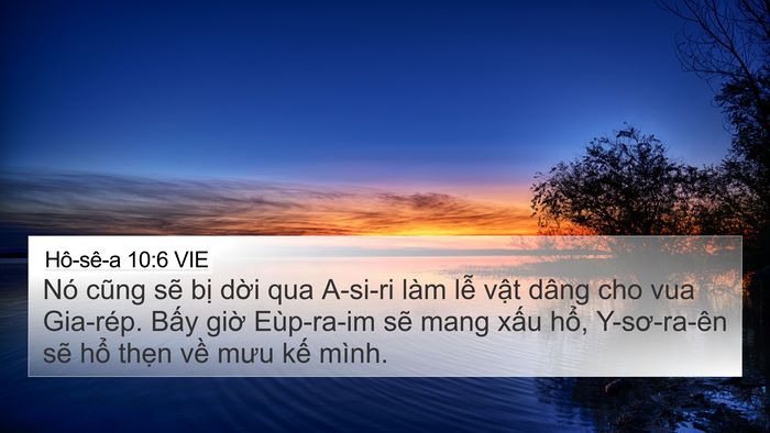 Hô-sê-a 10:6 VIE Bible Verse Image