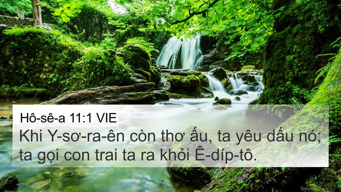 Hô-sê-a 11:1 VIE Bible Verse Image