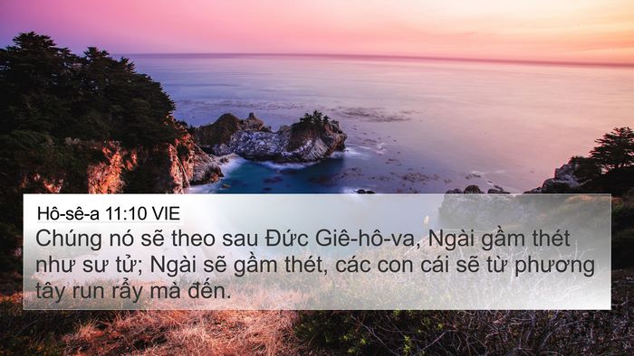 Hô-sê-a 11:10 VIE Bible Verse Image