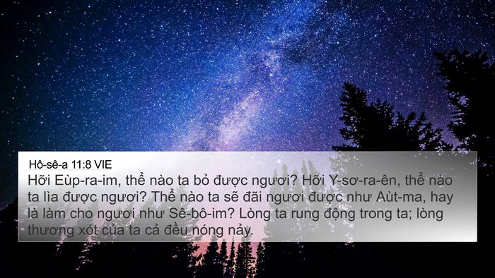 Hô-sê-a 11:8 VIE Bible Verse Image