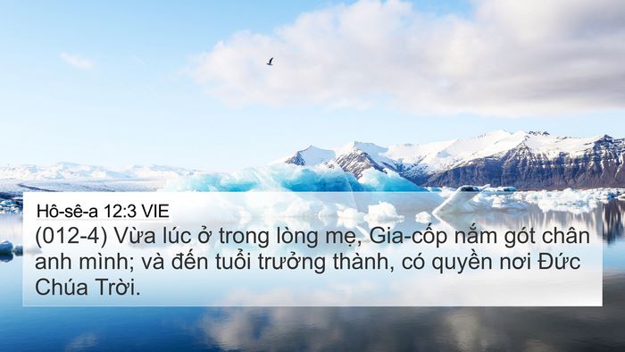 Hô-sê-a 12:3 VIE 4K Wallpaper - (012-4) Vừa lúc ở trong lòng mẹ, - 4K Wallpaper Bible Verse