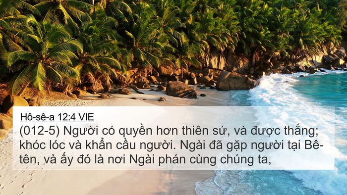 Hô-sê-a 12:4 VIE Bible Verse Image