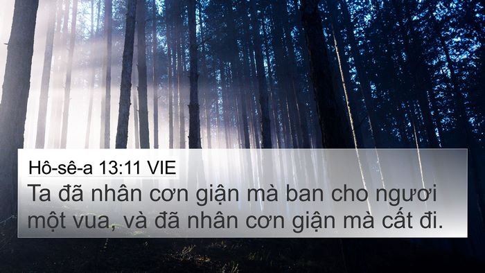 Hô-sê-a 13:11 VIE Bible Verse Image