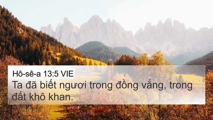Hô-sê-a 13:5 VIE Bible Verse Image