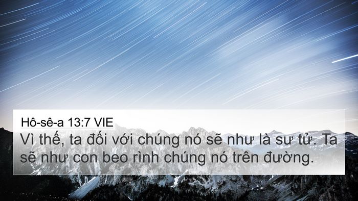 Hô-sê-a 13:7 VIE Bible Verse Image
