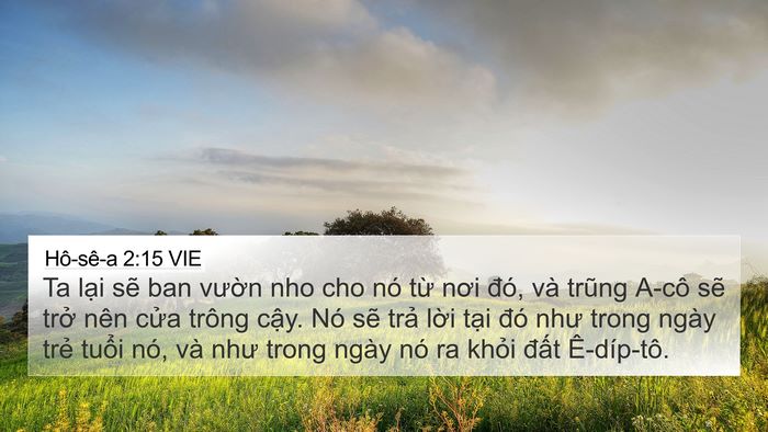 Hô-sê-a 2:15 VIE Bible Verse Image