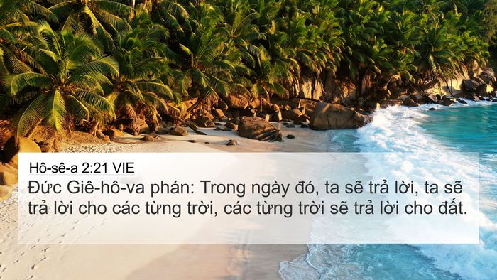 Hô-sê-a 2:21 VIE 4K Wallpaper - Đức Giê-hô-va phán: Trong ngày đó, ta - 4K Wallpaper Bible Verse