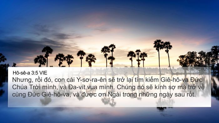 Hô-sê-a 3:5 VIE Bible Verse Image