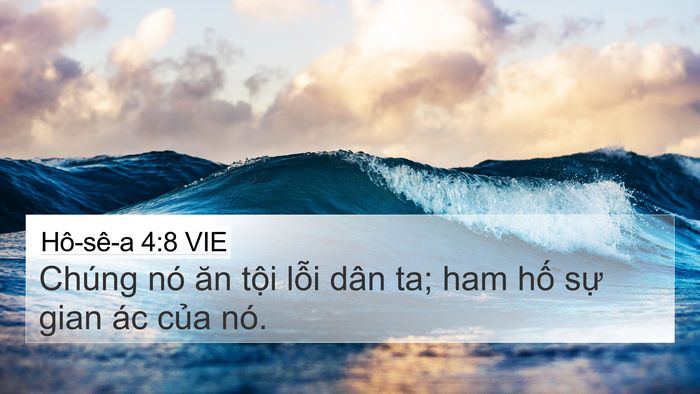 Hô-sê-a 4:8 VIE Bible Verse Image