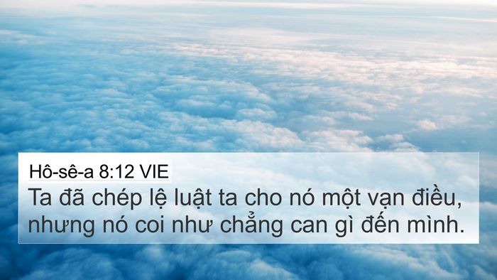 Hô-sê-a 8:12 VIE Bible Verse Image