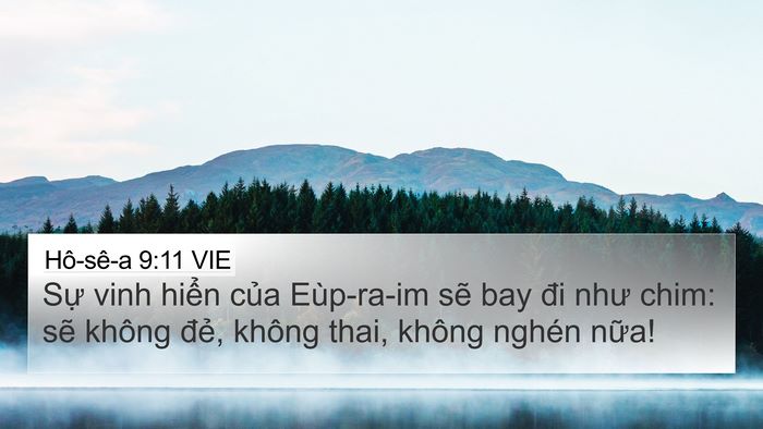 Hô-sê-a 9:11 VIE Bible Verse Image