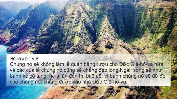 Hô-sê-a 9:4 VIE Bible Verse Image