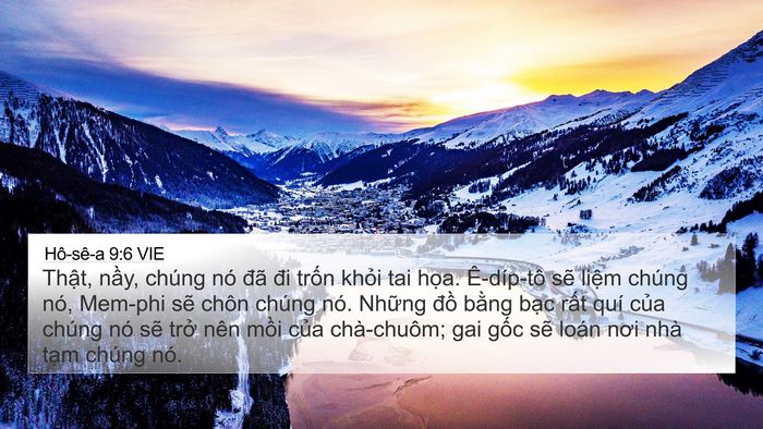 Hô-sê-a 9:6 VIE Bible Verse Image