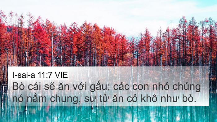 I-sai-a 11:7 VIE 4K Wallpaper - Bò cái sẽ ăn với gấu; các con nhỏ - 4K Wallpaper Bible Verse