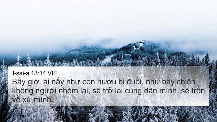 I-sai-a 13:14 VIE Bible Verse Image